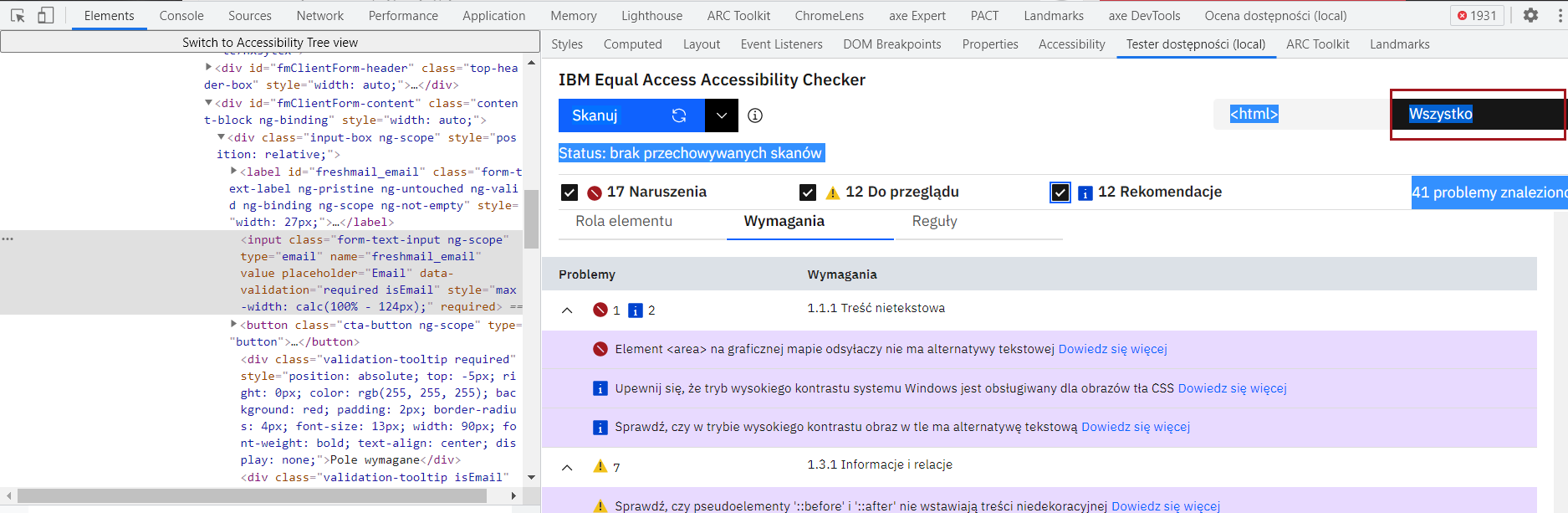 Zrzut ekranu narzędzia Accessibility Checker - widok główny z wszystkimi problemami
