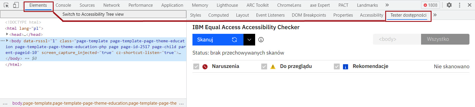 Zrzut ekranu Accessibility Checker - skaner kodu dla programistów